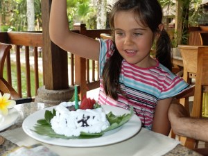 GATEAU ELEPHANT PARK